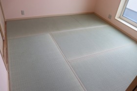 IMG_3716 IMG_3716