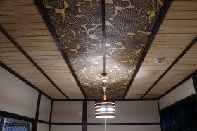 IMG_4042 IMG_4042